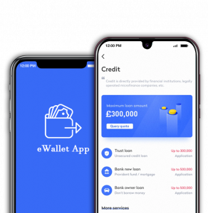 ewallet app development ewallet app development