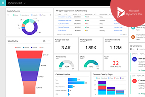 Microsoft Dynamics 365 CRM