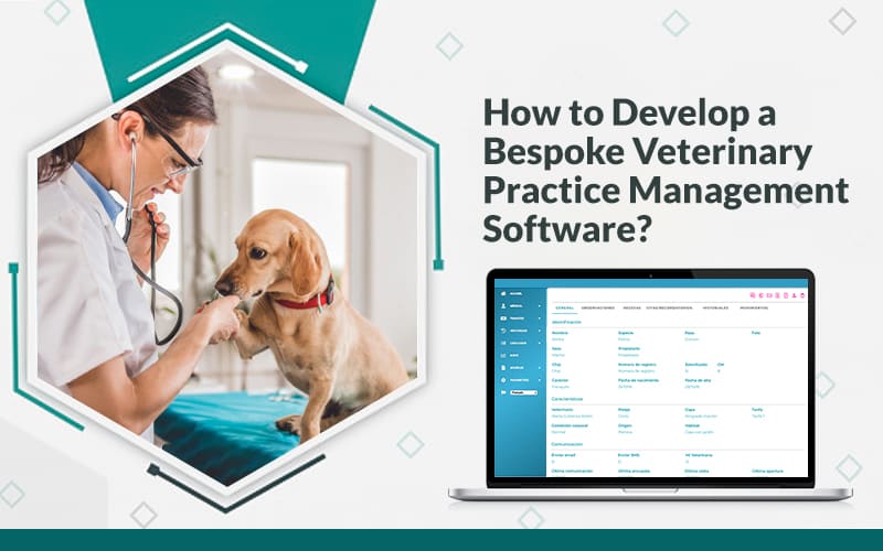 How to Develop a Bespoke Veterinary Practice Management Software